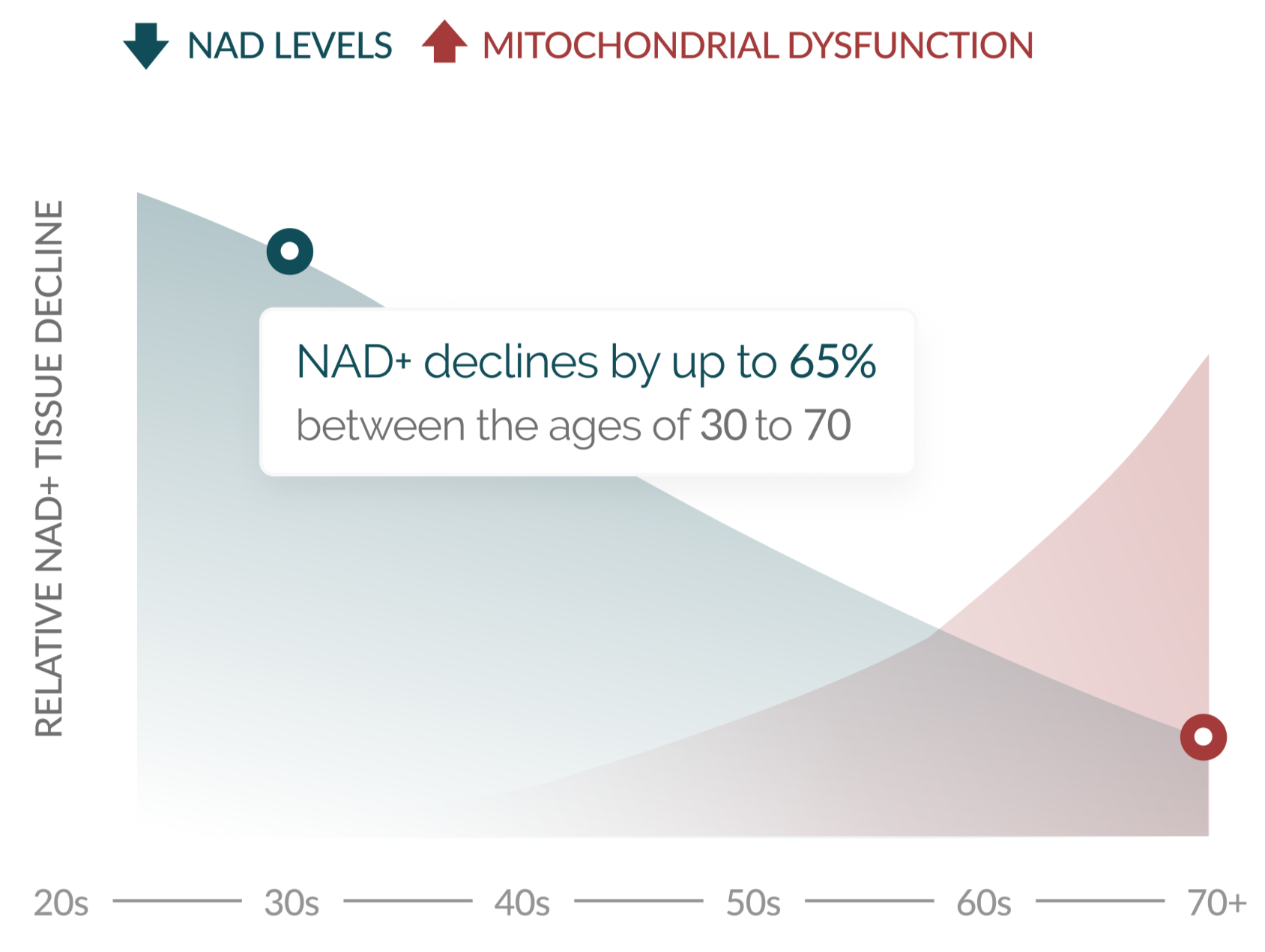 NAD+ declines by 65% between the ages of 30 to 70